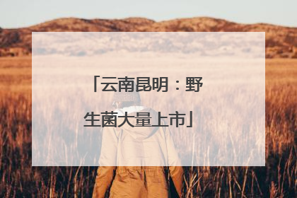 云南昆明：野生菌大量上市