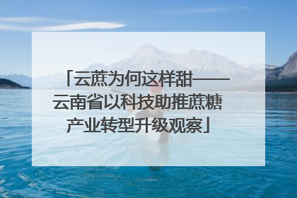 云蔗为何这样甜——云南省以科技助推蔗糖产业转型升级观察