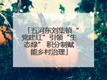 五河东刘集镇“党建红”引领“生态绿” 积分制赋能乡村治理