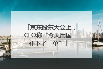 京东股东大会上，CEO称“今天用国补下了一单”