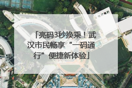 亮码3秒换乘！武汉市民畅享“一码通行”便捷新体验