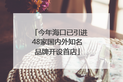 今年海口已引进48家国内外知名品牌开设首店