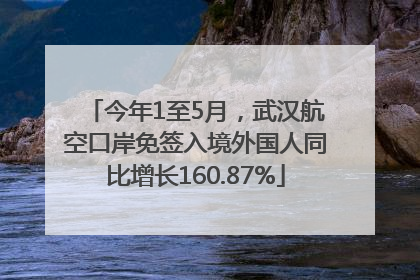 今年1至5月，武汉航空口岸免签入境外国人同比增长160.87%