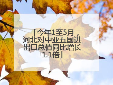 今年1至5月，河北对中亚五国进出口总值同比增长1.1倍