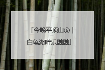 今晚平顶山⑥｜白龟湖畔乐融融
