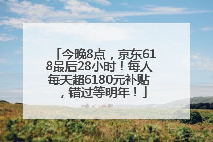 今晚8点，京东618最后28小时！每人每天超6180元补贴，错过等明年！