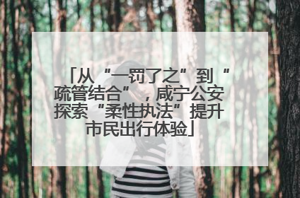 从“一罚了之”到“疏管结合”，咸宁公安探索“柔性执法”提升市民出行体验