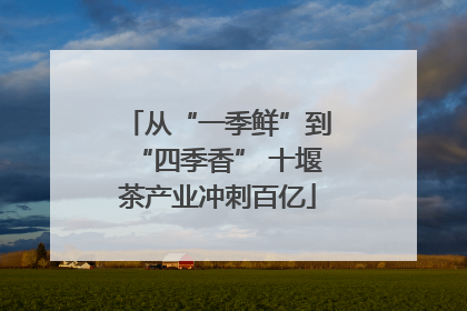 从“一季鲜”到“四季香” 十堰茶产业冲刺百亿