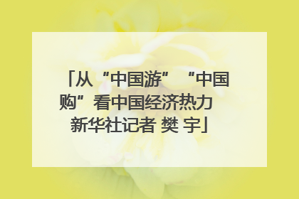从“中国游”“中国购”看中国经济热力 新华社记者 樊 宇