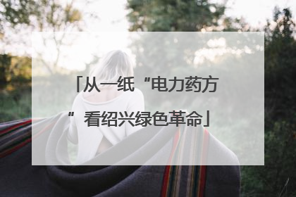 从一纸“电力药方”看绍兴绿色革命