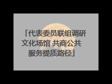 代表委员联组调研文化场馆 共商公共服务提质路径