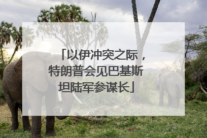 以伊冲突之际，特朗普会见巴基斯坦陆军参谋长