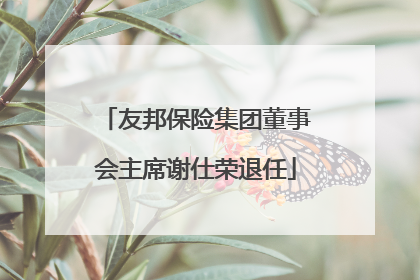 友邦保险集团董事会主席谢仕荣退任