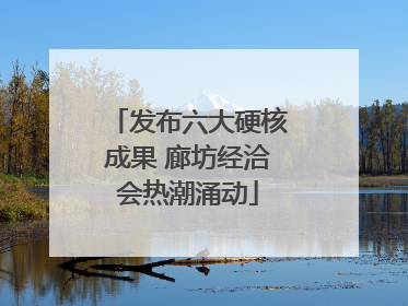 发布六大硬核成果 廊坊经洽会热潮涌动
