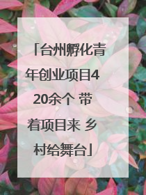 台州孵化青年创业项目420余个 带着项目来 乡村给舞台
