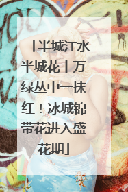 半城江水半城花丨万绿丛中一抹红！冰城锦带花进入盛花期