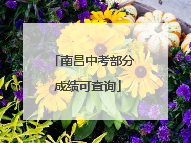 南昌中考部分成绩可查询