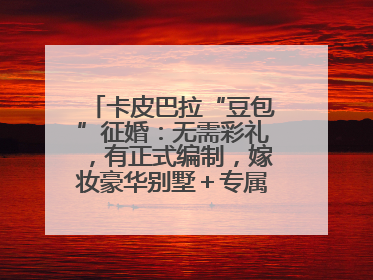 卡皮巴拉“豆包”征婚：无需彩礼，有正式编制，嫁妆豪华别墅＋专属泳池！