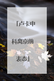 卢卡申科离京前表态
