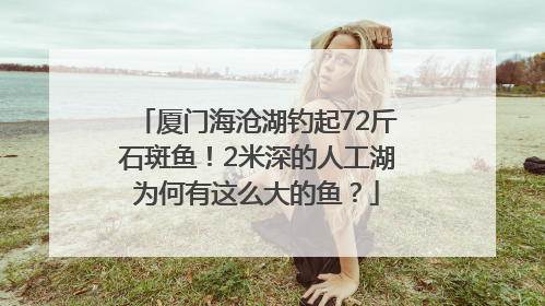 厦门海沧湖钓起72斤石斑鱼！2米深的人工湖为何有这么大的鱼？