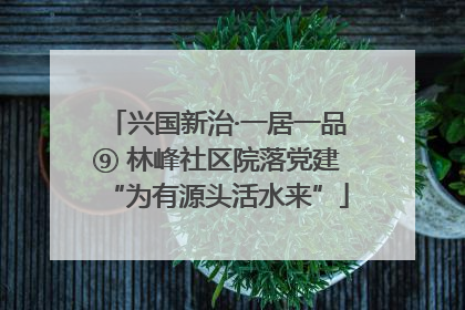 兴国新治·一居一品⑨ 林峰社区院落党建“为有源头活水来”