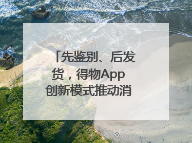 先鉴别、后发货，得物App创新模式推动消费正品化升级