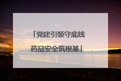 党建引领守底线 药品安全筑根基