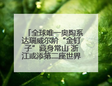 全球唯一奥陶系达瑞威尔阶“金钉子”藏身常山 浙江或添第二座世界地质公园