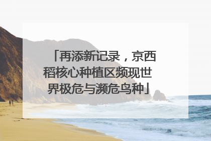 再添新记录，京西稻核心种植区频现世界极危与濒危鸟种