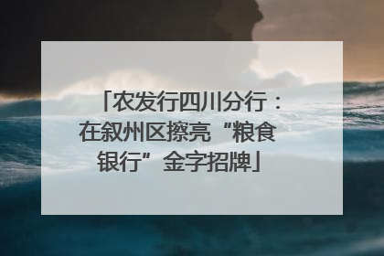 农发行四川分行：在叙州区擦亮“粮食银行”金字招牌