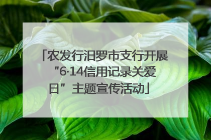 农发行汨罗市支行开展“6·14信用记录关爱日”主题宣传活动