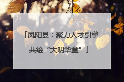 凤阳县：聚力人才引擎 共绘“大明华章”