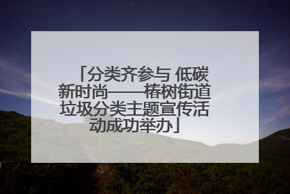 分类齐参与 低碳新时尚——椿树街道垃圾分类主题宣传活动成功举办
