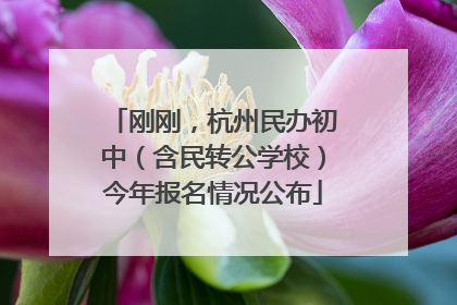 刚刚，杭州民办初中（含民转公学校）今年报名情况公布