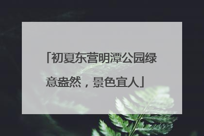 初夏东营明潭公园绿意盎然，景色宜人