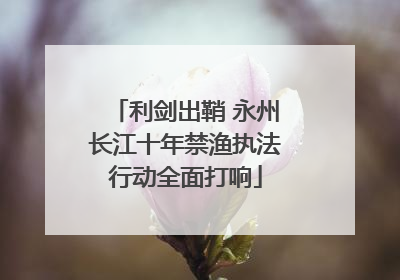 利剑出鞘 永州长江十年禁渔执法行动全面打响