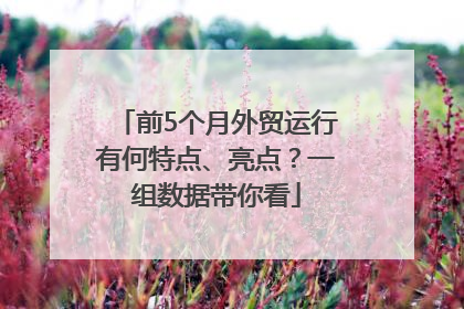 前5个月外贸运行有何特点、亮点？一组数据带你看