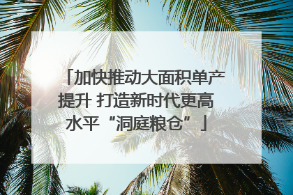 加快推动大面积单产提升 打造新时代更高水平“洞庭粮仓”