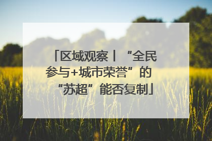区域观察丨“全民参与+城市荣誉”的“苏超”能否复制