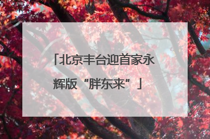 北京丰台迎首家永辉版“胖东来”