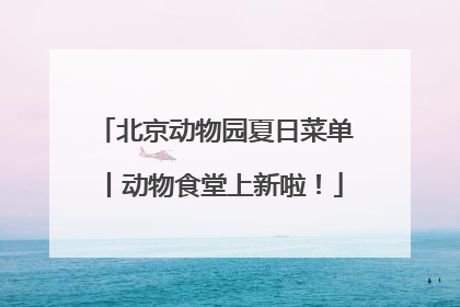 北京动物园夏日菜单丨动物食堂上新啦！