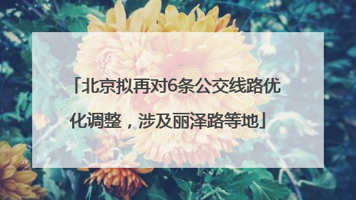 北京拟再对6条公交线路优化调整，涉及丽泽路等地