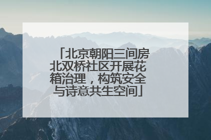 北京朝阳三间房北双桥社区开展花箱治理，构筑安全与诗意共生空间