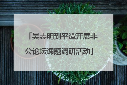 吴志明到平潭开展非公论坛课题调研活动