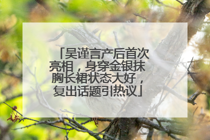 吴谨言产后首次亮相，身穿金银抹胸长裙状态大好，复出话题引热议