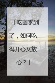 吃菌季到了，如何吃得开心又放心？