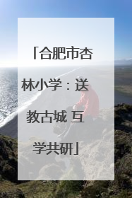 合肥市杏林小学：送教古城 互学共研