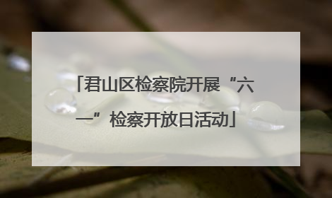 君山区检察院开展“六一”检察开放日活动