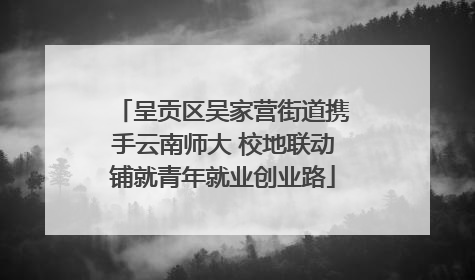 呈贡区吴家营街道携手云南师大 校地联动铺就青年就业创业路