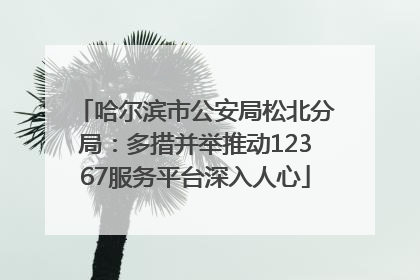 哈尔滨市公安局松北分局：多措并举推动12367服务平台深入人心